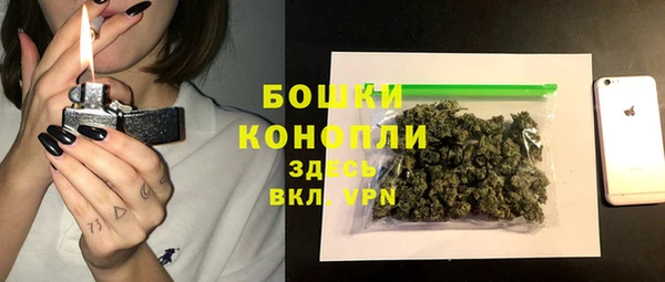 spice Каменка