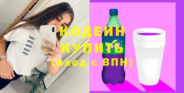 spice Каменка