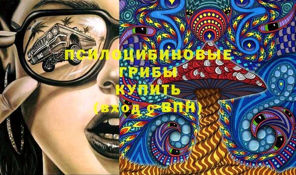 spice Каменка
