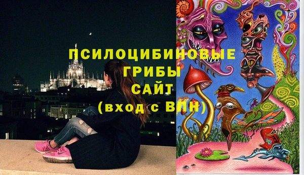 наркотики Каменногорск