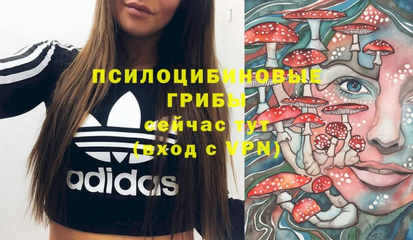 наркотики Каменногорск