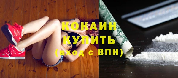 spice Каменка